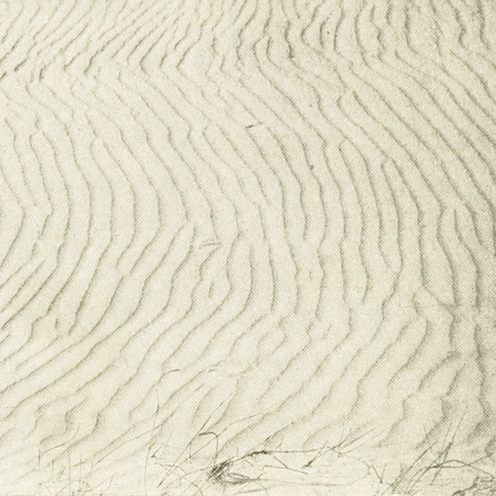 KEEP OFF THE DUNES